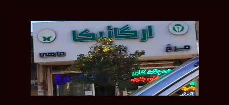 ارگانیکا - فروش مواد غذایی ارگانیک